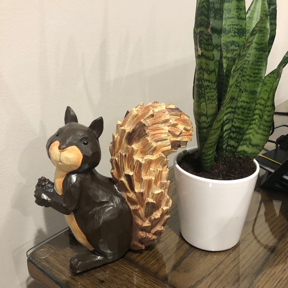 Squirrel 🐿 decor
